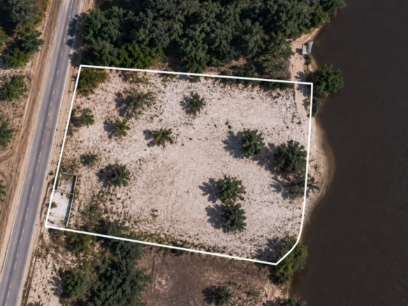 TERRAIN PALM